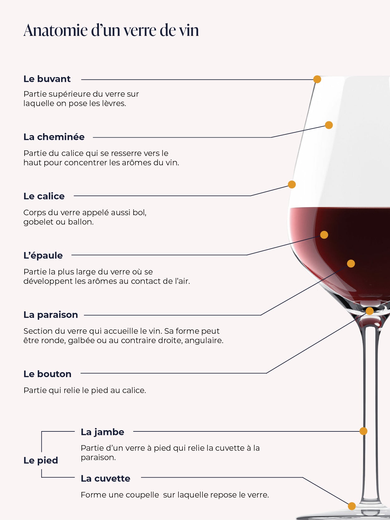 Le verre à vin: comment le contenant influence le contenu – Miss