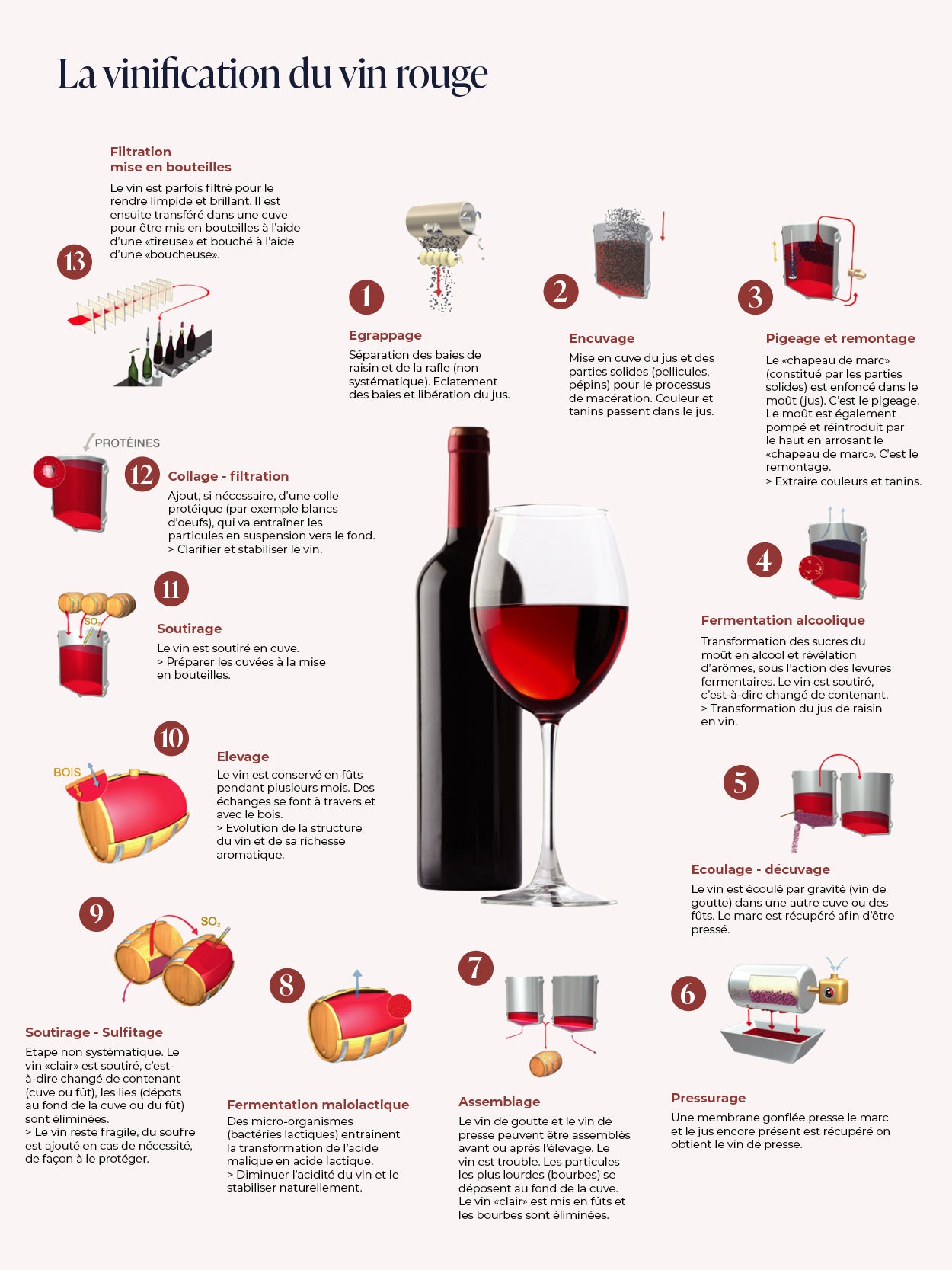 Les étapes de vinification du vin blanc